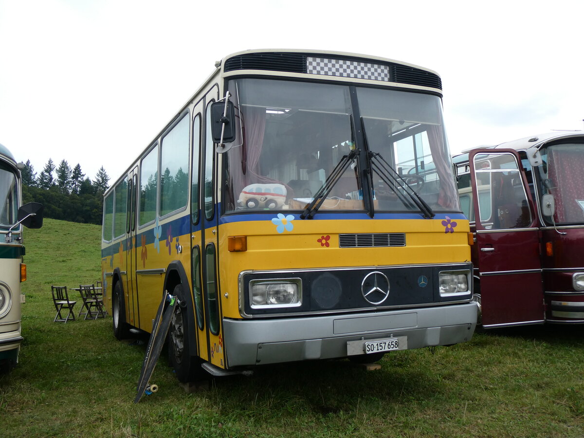 (265'796) - Schoch, Solothurn - SO 157'658 - Mercedes/T�scher (ex Reinhart, Selzach; ex Gessinger, Bad Ragaz) am 17. August 2024 in Neuhausen, Langriet