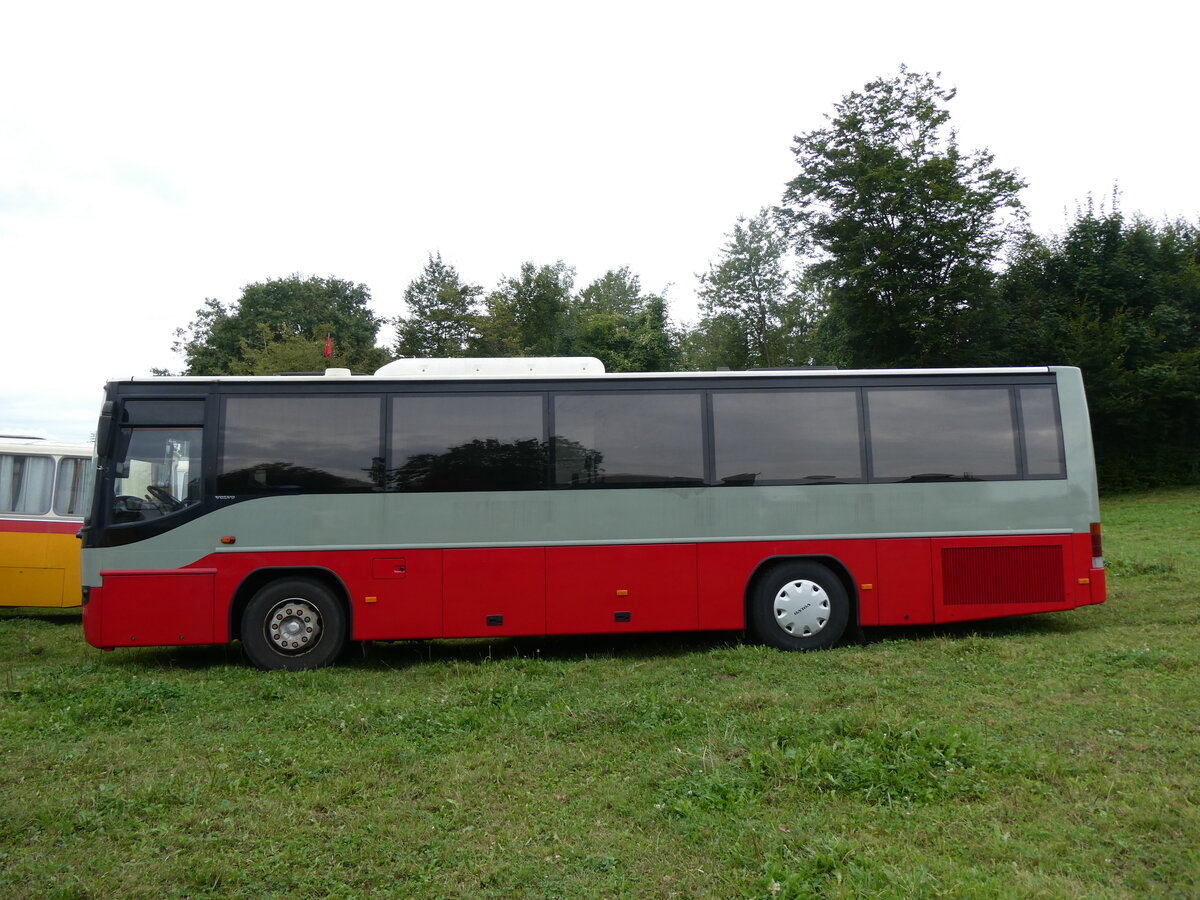 (265'804) - Erni, T�gerig - AG 900'007 - Volvo (ex Serta, Lumino; ex Lathion, Sion Nr. 4) am 17. August 2024 in Neuhausen, Langriet