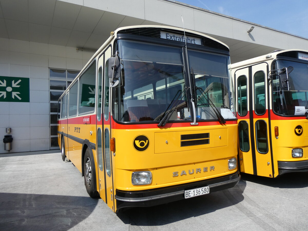 (266'336) - Schumacher, Liebefeld - BE 136'580 - Saurer/T�scher (ex Zimmermann, Niederwangen; ex P 24'289) am 31. August 2024 in Oberkirch, CAMPUS Sursee