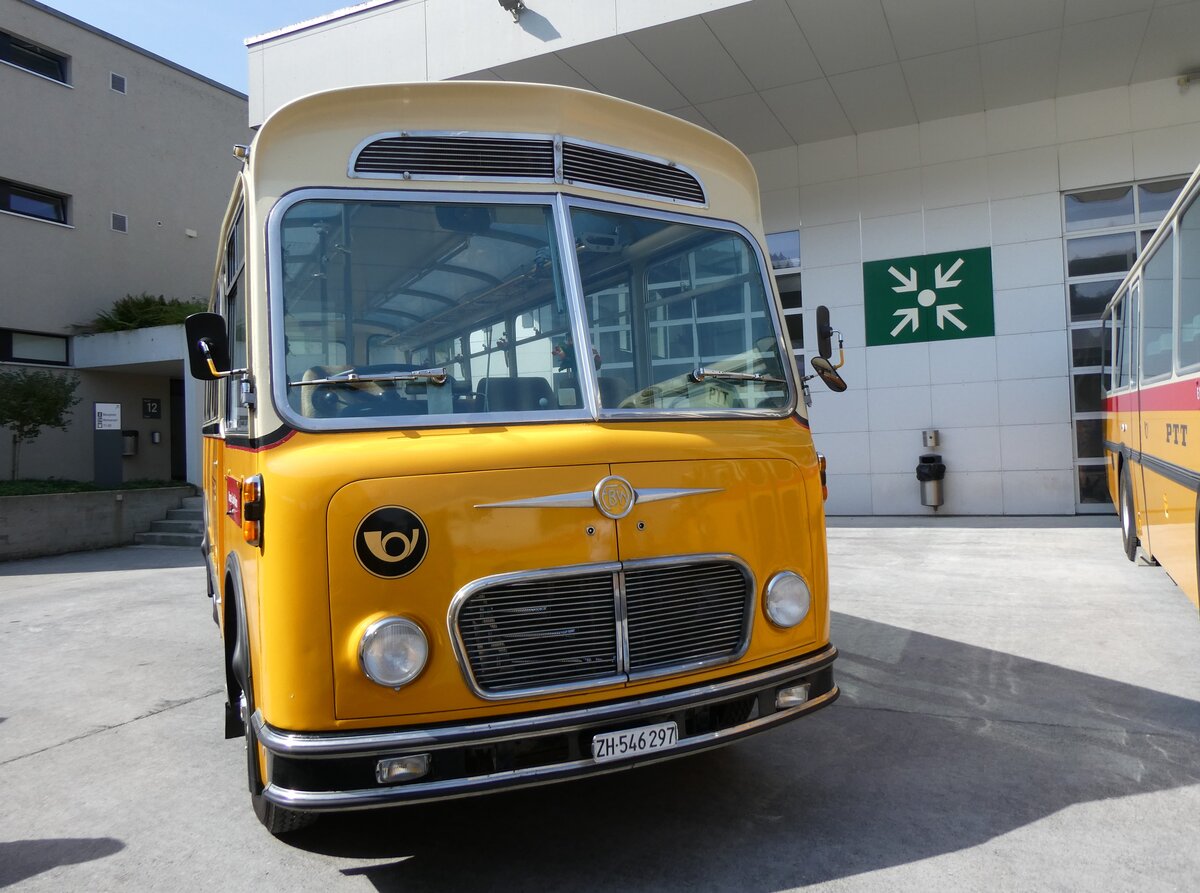 (266'338) - R�ber, Mettmenstetten - ZH 546'297 - FBW/Gangloff (ex P 23'202; ex P 21'002) am 31. August 2024 in Oberkirch, CAMPUS Sursee