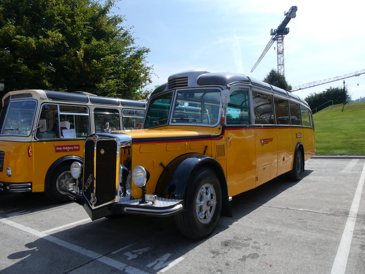 (266'413) - Gogniat, M�nchenbuchsee - BE 17'050 - FBW/FHS (ex Herzog, Muttenz; ex Kontiki, Wettingen Nr. 4; ex Nett, Bachs; ex P 23'179; ex P 2187) am 31. August 2024 in Oberkirch, CAMPUS Sursee