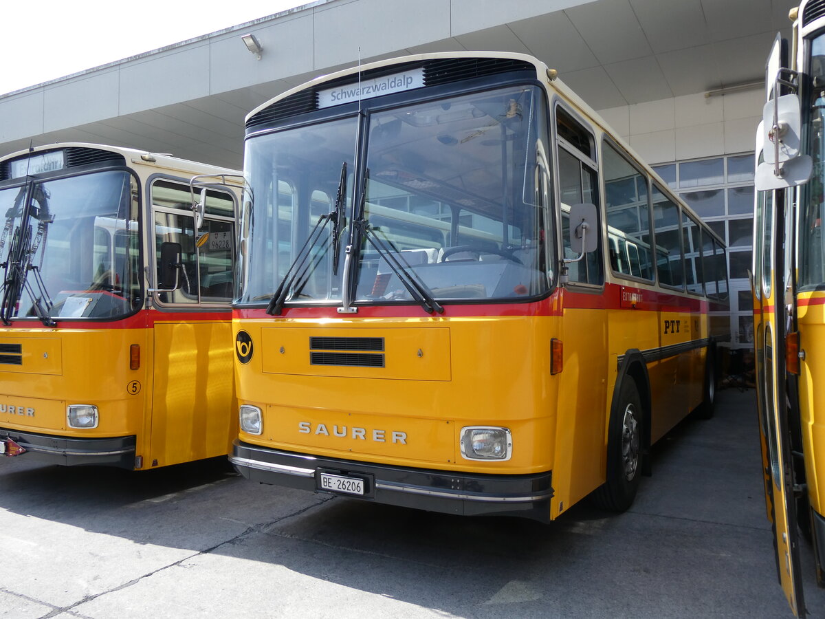 (266'438) - Schmid, Th�rishaus - BE 26'206 - Saurer/T�scher (ex P 24'244) am 31. August 2024 in Oberkirch, CAMPUS Sursee