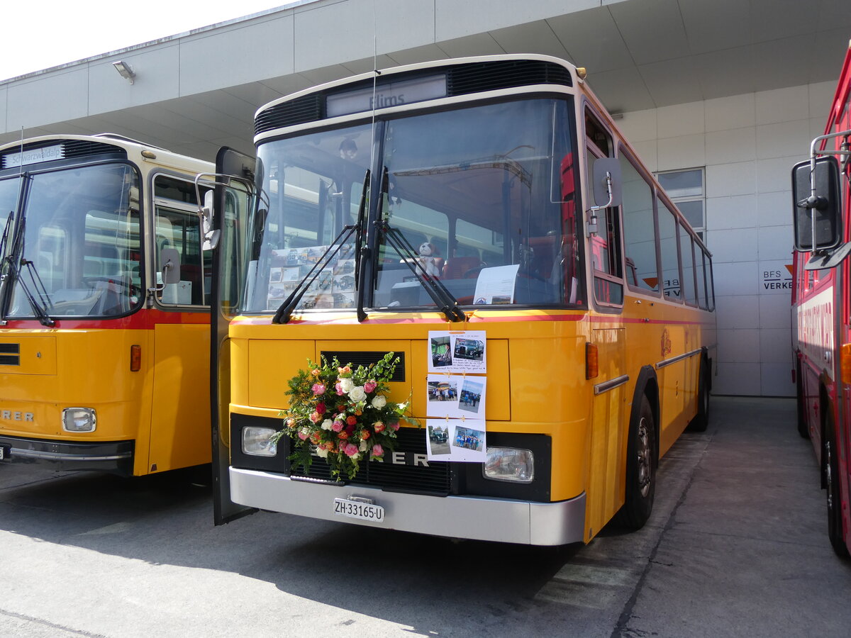 (266'440) - Schmid, Buchs - ZH 33'165 U - Saurer/T�scher (ex Sol�r+Fontana, Ilanz Nr. 2; ex Sol�r+Fontana, Ilanz Nr. 8) am 31. August 2024 in Oberkirch, CAMPUS Sursee