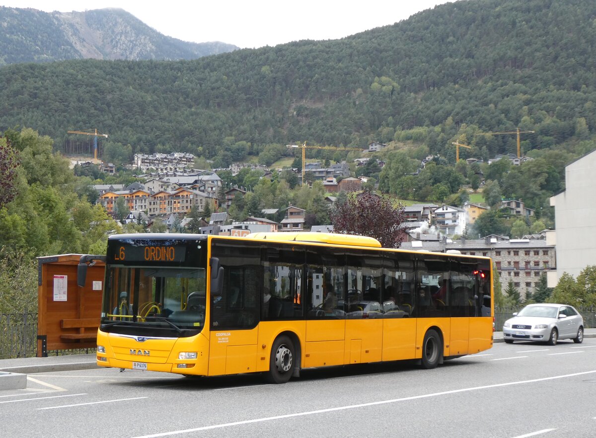 (267'242) - Coopalsa, Andorra la Vella - P6376 - MAN am 18. September 2024 in La Massana, El Trav�s