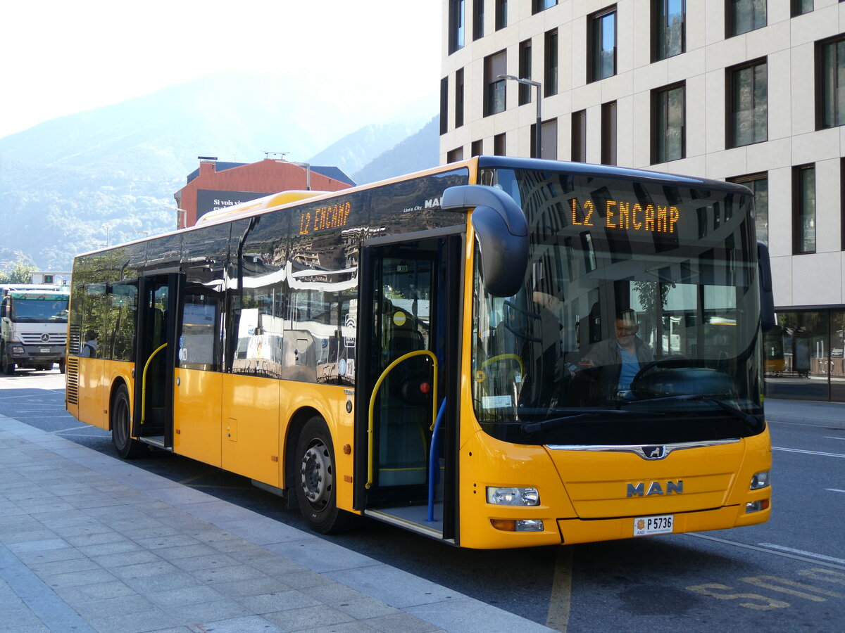 (267'272) - Coopalsa, Andorra la Vella - P5736 - MAN am 19. September 2024 in Andorra la Vella, Estaci� Nacional Autobusos