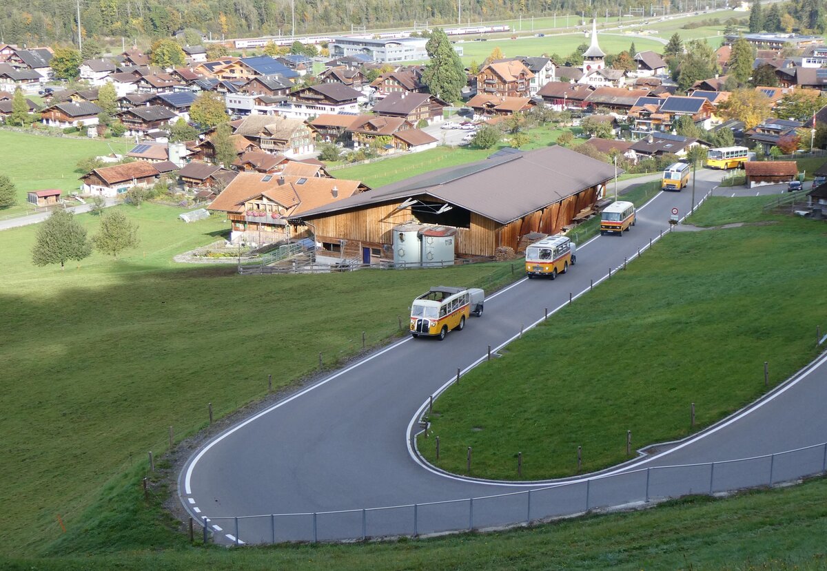(268'013) - Schmid, Th�rishaus - Nr. 3/BE 26'760 - Saurer/Gangloff (ex Geiger, Adelboden Nr. 3) + Nr. 9/BE 26'105 - Saurer/R&J (ex Geiger, Adelboden Nr. 9) + aus Deutschland: Hahn, M�nchen - Nr. 6/M-MB 309H - Mercedes (ex M�ller, CH-Ennetmoos Nr. 6; ex Portenier, CH-Adelboden Nr. 6/PID 492; ex Geiger, CH-Adelboden Nr. 6) + Gast, Reutigen - Nr. 1/BE 24'079 - FBW/FHS (ex Lambach, Gommiswald; ex Hotz, Rickenbach bei Wil/TG; ex P 24'079; ex P 21'579) + Schmid, Th�rishaus - BE 26'206 - Saurer/T�scher (ex P 24'244) am 12. Oktober 2024 in Reichenbach, Kientalstrasse