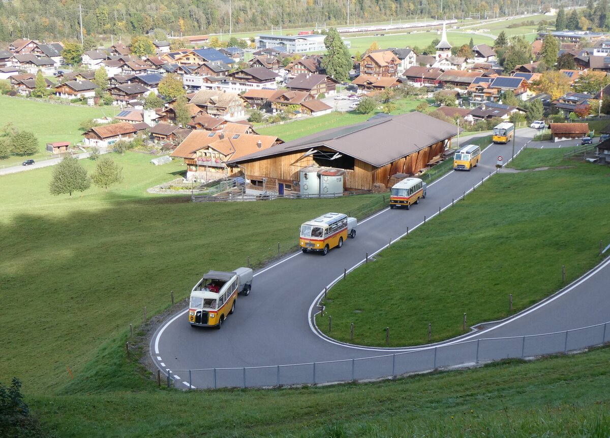 (268'014) - Schmid, Th�rishaus - Nr. 3/BE 26'760 - Saurer/Gangloff (ex Geiger, Adelboden Nr. 3) + Nr. 9/BE 26'105 - Saurer/R&J (ex Geiger, Adelboden Nr. 9) + aus Deutschland: Hahn, M�nchen - Nr. 6/M-MB 309H - Mercedes (ex M�ller, CH-Ennetmoos Nr. 6; ex Portenier, CH-Adelboden Nr. 6/PID 492; ex Geiger, CH-Adelboden Nr. 6) + Gast, Reutigen - Nr. 1/BE 24'079 - FBW/FHS (ex Lambach, Gommiswald; ex Hotz, Rickenbach bei Wil/TG; ex P 24'079; ex P 21'579) + Schmid, Th�rishaus - BE 26'206 - Saurer/T�scher (ex P 24'244) am 12. Oktober 2024 in Reichenbach, Kientalstrasse