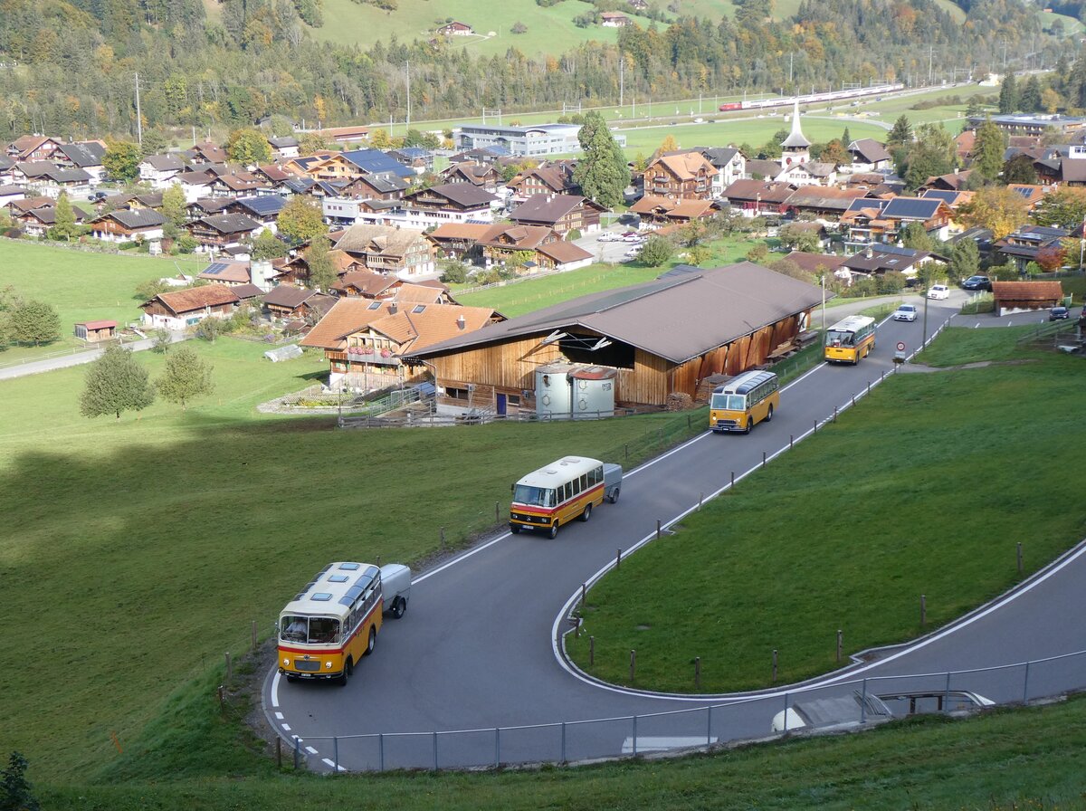 (268'015) - Schmid, Th�rishaus - Nr. 9/BE 26'105 - Saurer/R&J (ex Geiger, Adelboden Nr. 9) + aus Deutschland: Hahn, M�nchen - Nr. 6/M-MB 309H - Mercedes (ex M�ller, CH-Ennetmoos Nr. 6; ex Portenier, CH-Adelboden Nr. 6/PID 492; ex Geiger, CH-Adelboden Nr. 6) + Gast, Reutigen - Nr. 1/BE 24'079 - FBW/FHS (ex Lambach, Gommiswald; ex Hotz, Rickenbach bei Wil/TG; ex P 24'079; ex P 21'579) + Schmid, Th�rishaus - BE 26'206 - Saurer/T�scher (ex P 24'244) am 12. Oktober 2024 in Reichenbach, Kientalstrasse