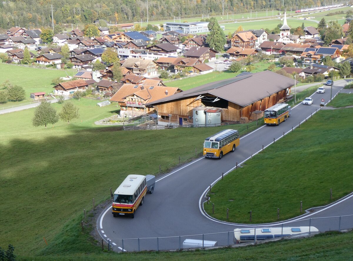 (268'016) - Aus Deutschland: Hahn, M�nchen - Nr. 6/M-MB 309H - Mercedes (ex M�ller, CH-Ennetmoos; ex Portenier, CH-Adelboden Nr. 6/PID 492; ex Geiger, CH-Adelboden Nr. 6) + Gast, Reutigen - Nr. 1/BE 24'079 - FBW/FHS (ex Lambach, Gommiswald; ex Hotz, Rickenbach bei Wil/TG; ex P 24'079; ex P 21'579) + Schmid, Th�rishaus - BE 26'206 - Saurer/T�scher (ex P 24'244) am 12. Oktober 2024 in Reichenbach, Kientalstrasse