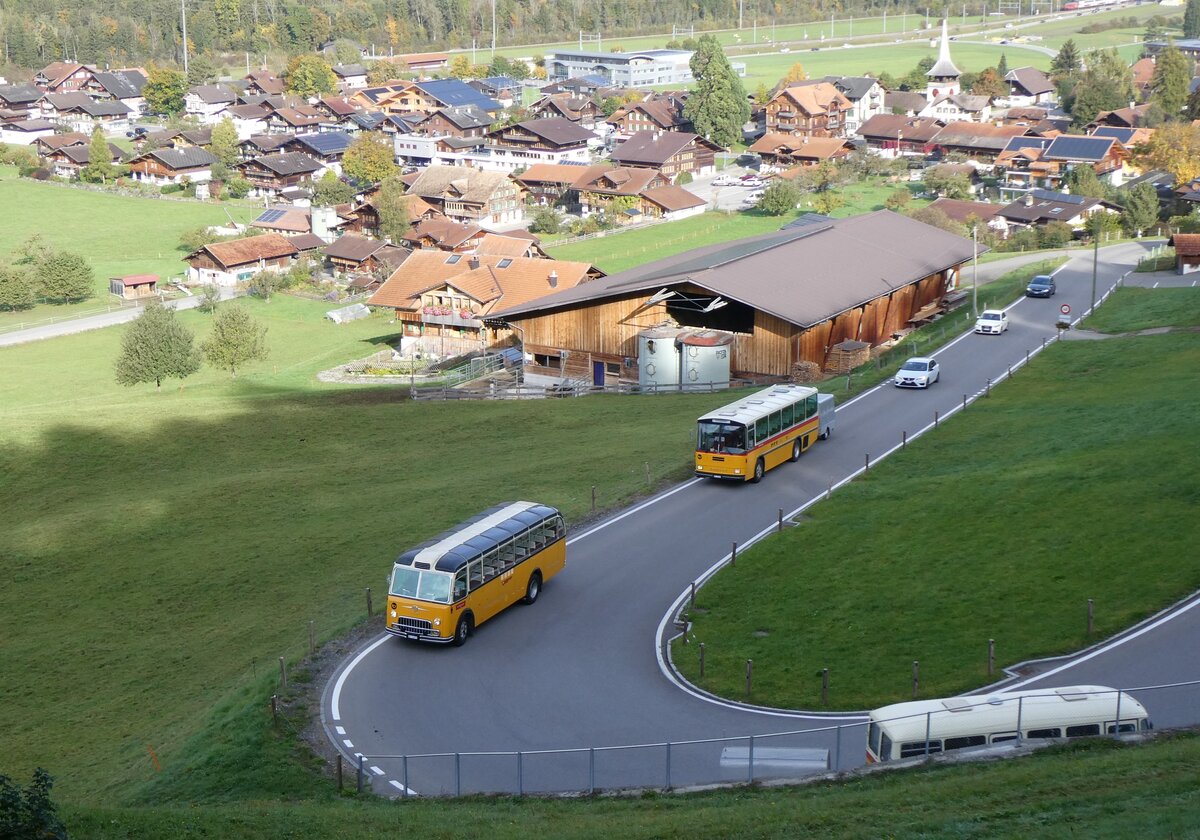 (268'017) - Gast, Reutigen - Nr. 1/BE 24'079 - FBW/FHS (ex Lambach, Gommiswald; ex Hotz, Rickenbach bei Wil/TG; ex P 24'079; ex P 21'579) + Schmid, Th�rishaus - BE 26'206 - Saurer/T�scher (ex P 24'244) am 12. Oktober 2024 in Reichenbach, Kientalstrasse