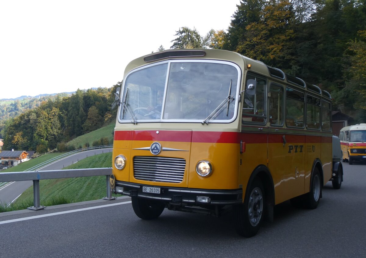 (268'020) - Schmid, Th�rishaus - Nr. 9/BE 26'105 - Saurer/R&J (ex Geiger, Adelboden Nr. 9) am 12. Oktober 2024 in Reichenbach, Kientalstrasse