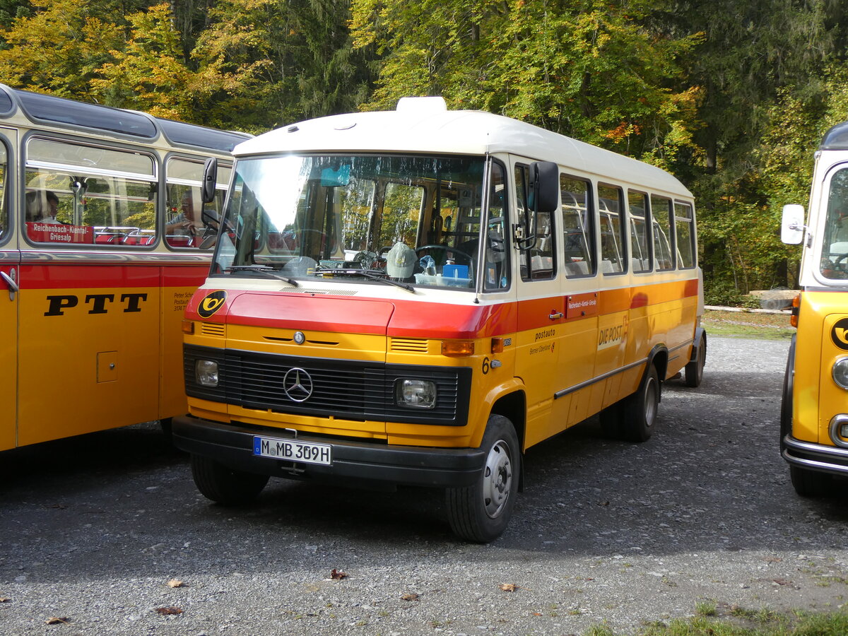 (268'029) - Aus Deutschland: Hahn, M�nchen - Nr. 6/M-MB 309H - Mercedes (ex M�ller, CH-Ennetmoos Nr. 6; ex Portenier, CH-Adelboden Nr. 6/PID 492; ex Geiger, CH-Adelboden Nr. 6) am 12. Oktober 2024 in Kiental, Loosplattenalp