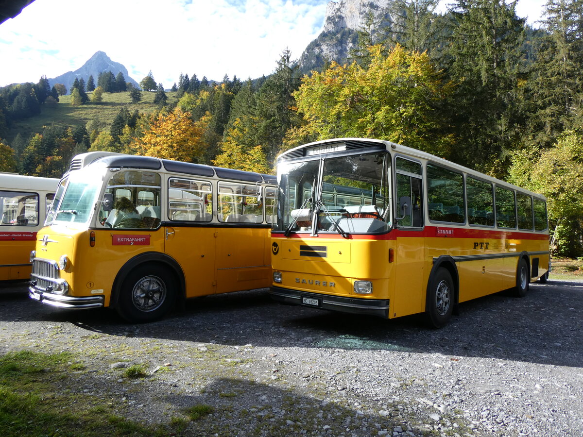 (268'033) - Schmid, Th�rishaus - BE 26'206 - Saurer/T�scher (ex P 24'244) am 12. Oktober 2024 in Kiental, Loosplattenalp