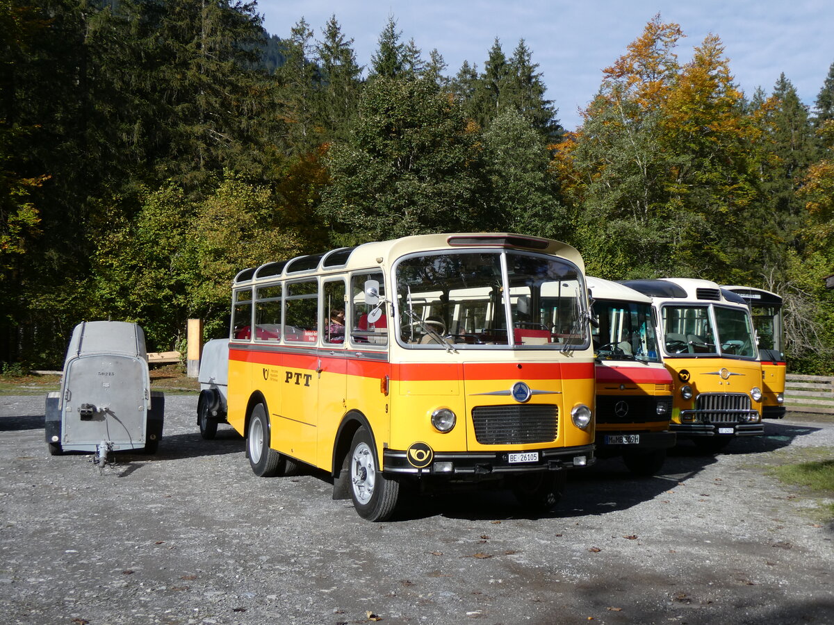 (268'037) - Schmid, Th�rishaus - Nr. 9/BE 26'105 - Saurer/R&J (ex Geiger, Adelboden Nr. 9) am 12. Oktober 2024 in Kiental Loosplattenalp