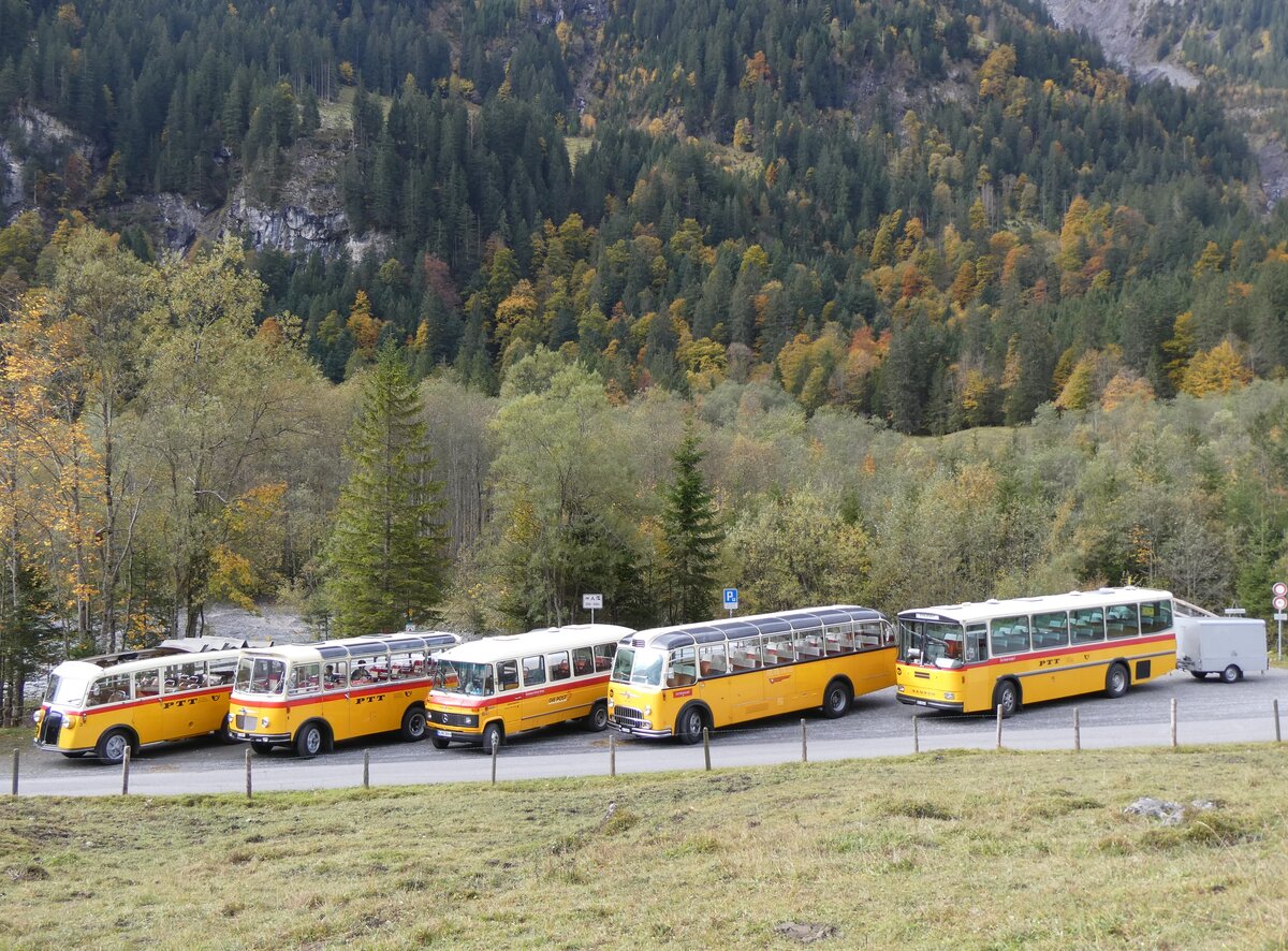 (268'042) - Schmid, Th�rishaus - BE 26'206 - Saurer/T�scher (ex P 24'244) am 12. Oktober 2024 in Kiental, Tschingelsee