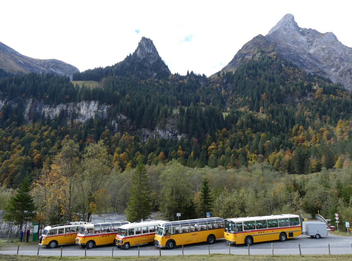 (268'044) - Schmid, Th�rishaus - BE 26'206 - Saurer/T�scher (ex P 24'244) am 12. Oktober 2024 in Kiental, Tschingelsee