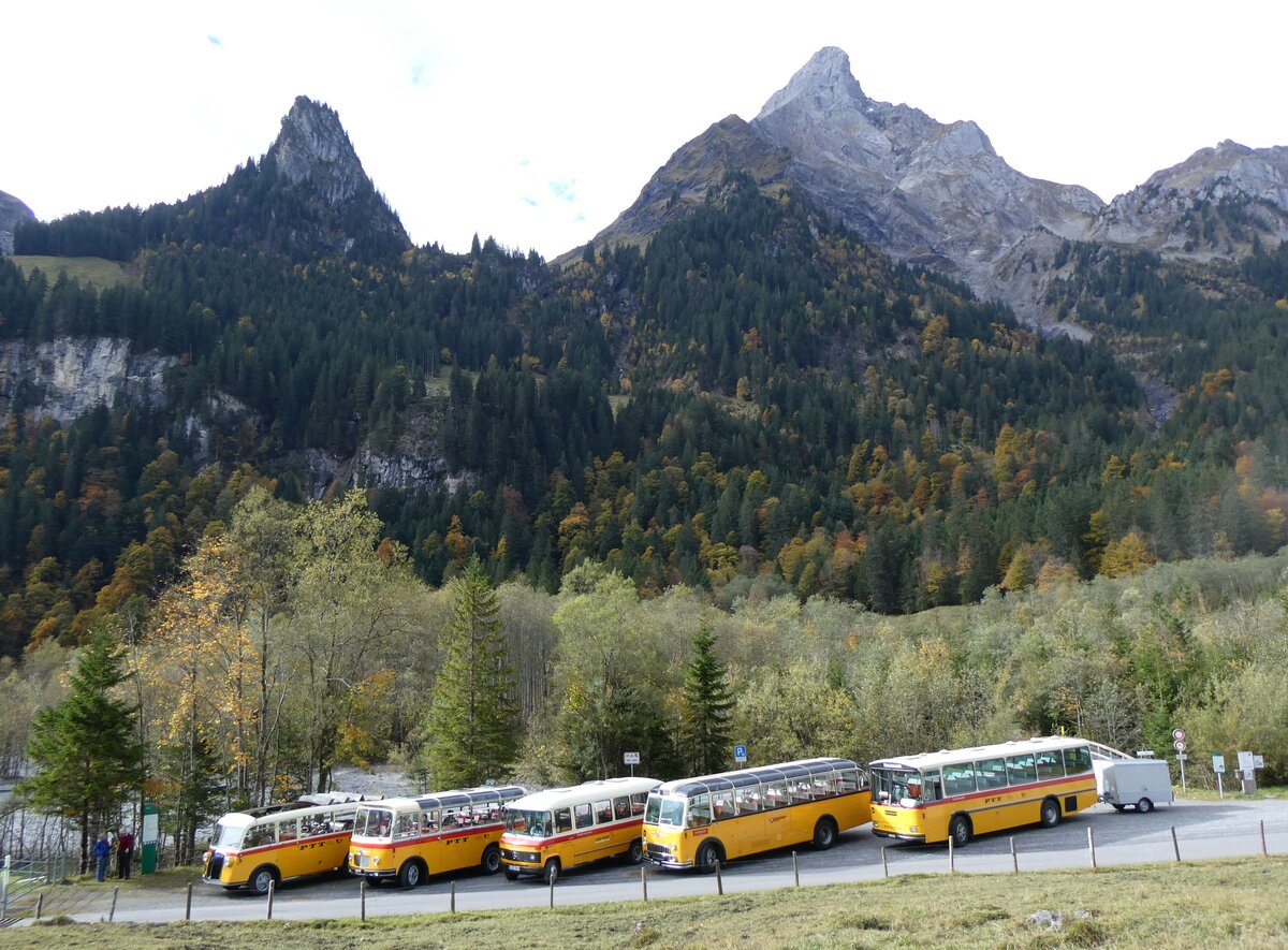 (268'045) - Schmid, Th�rishaus - BE 26'206 - Saurer/T�scher (ex P 24'244) am 12. Oktober 2024 in Kiental, Tschingelsee