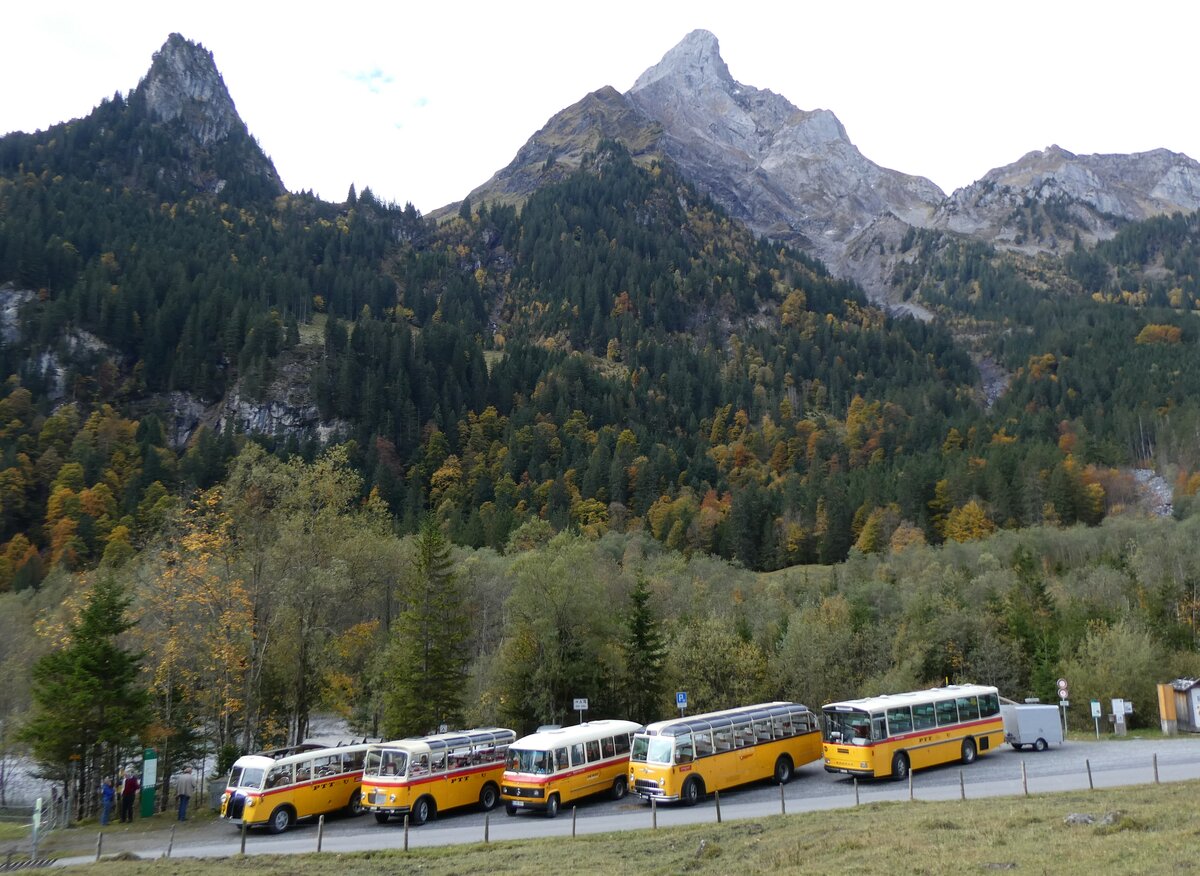(268'046) - Schmid, Th�rishaus - BE 26'206 - Saurer/T�scher (ex P 24'244) am 12. Oktober 2024 in Kiental, Tschingelsee