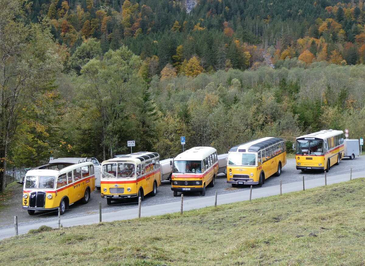 (268'053) - Schmid, Th�rishaus - Nr. 3/BE 26'760 - Saurer/Gangloff (ex Geiger, Adelboden Nr. 3) + Nr. 9/BE 26'105 - Saurer/R&J (ex Geiger, Adelboden Nr. 9) + aus Deutschland: Hahn, M�nchen - Nr. 6/M-MB 309H - Mercedes (ex M�ller, CH-Ennetmoos Nr. 6; ex Portenier, CH-Adelboden Nr. 6/PID 492; ex Geiger, CH-Adelboden Nr. 6) + Gast, Reutigen - Nr. 1/BE 24'079 - FBW/FHS (ex Lambach, Gommiswald; ex Hotz, Rickenbach bei Wil/TG; ex P 24'079; ex P 21'579) + Schmid, Th�rishaus - BE 26'206 - Saurer/T�scher (ex P 24'244) am 12. Oktober 2024 in Kiental, Tschingelsee