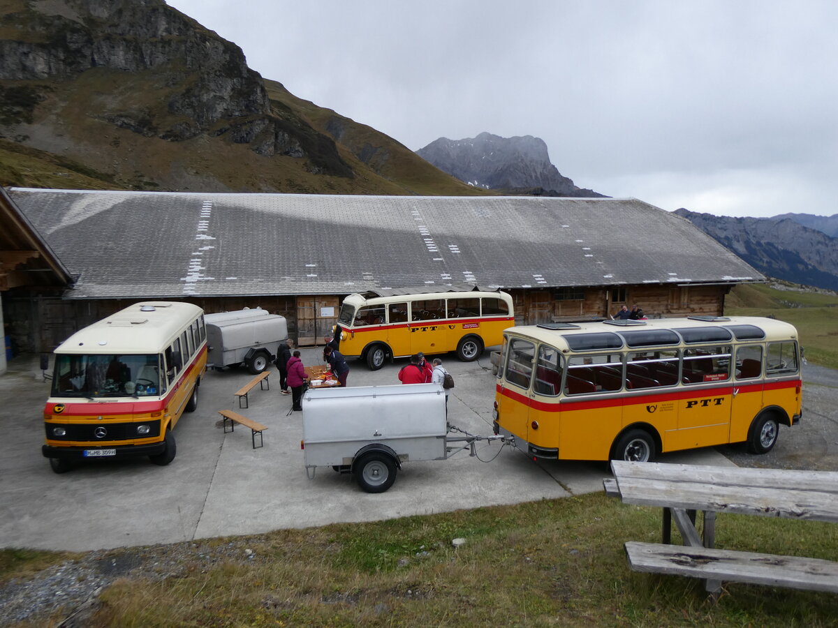 (268'086) - Aus Deutschland: Hahn, M�nchen - Nr. 6/M-MB 309H - Mercedes (ex M�ller, CH-Ennetmoos Nr. 6; ex Portenier, CH-Adelboden Nr. 6/PID 492; ex Geiger, CH-Adelboden Nr. 6) + Schmid, Th�rishaus - Nr. 3/BE 26'760 - Saurer/Gangloff (ex Geiger, Adelboden Nr. 3) + Nr. 9/BE 26'105 - Saurer/R&J (ex Geiger, Adelboden Nr. 9) am 12. Oktober 2024 auf dem Bundl�ger