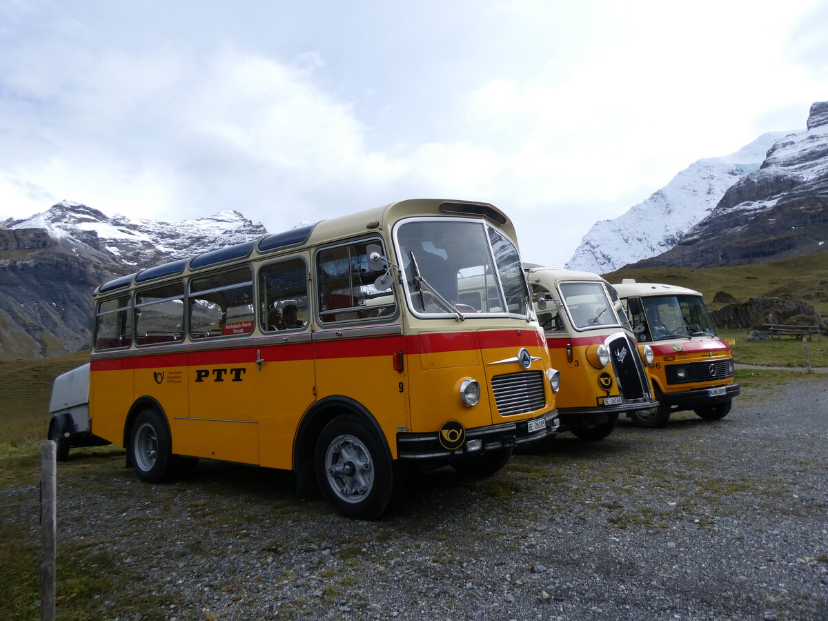 (268'117) - Schmid, Th�rishaus - Nr. 9/BE 26'105 - Saurer/R&J (ex Geiger, Adelboden Nr. 9) am 12. Oktober 2024 auf dem Bundl�ger