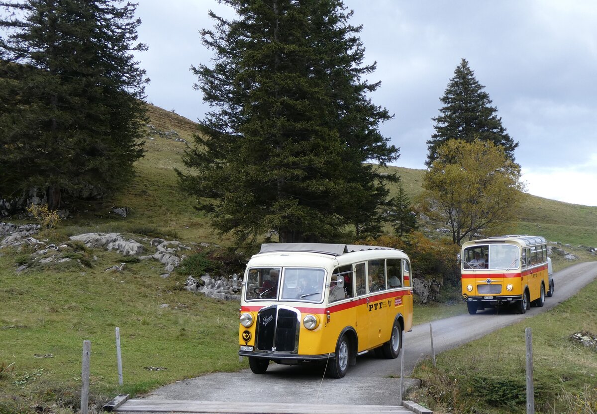 (268'121) - Schmid, Th�rishaus - Nr. 3/BE 26'760 - Saurer/Gangloff (ex Geiger, Adelboden Nr. 3) + Nr. 9/BE 26'105 - Saurer/R&J (ex Geiger, Adelboden Nr. 9) am 12. Oktober 2024 bei der Bundalp