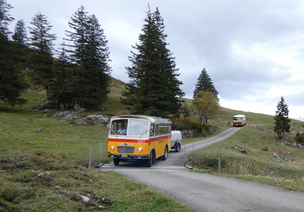 (268'123) - Schmid, Th�rishaus - Nr. 9/BE 26'105 - Saurer/R&J (ex Geiger, Adelboden Nr. 9) am 12. Oktober 2024 bei der Bundalp