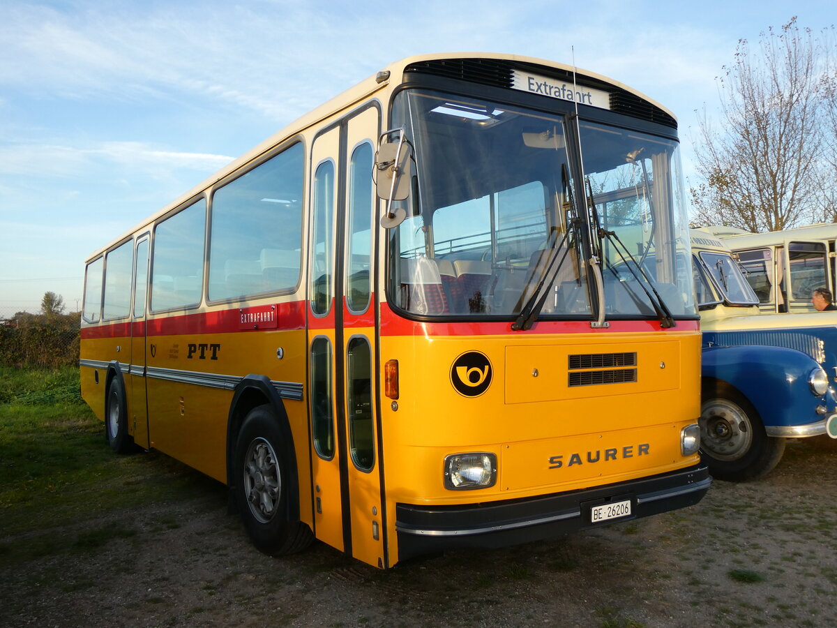 (268'453) - Aus der Schweiz: Schmid, Th�rishaus - BE 26'206 - Saurer/T�scher (ex P 24'244) am 25. Oktober 2024 in Kintzheim, Cigoland