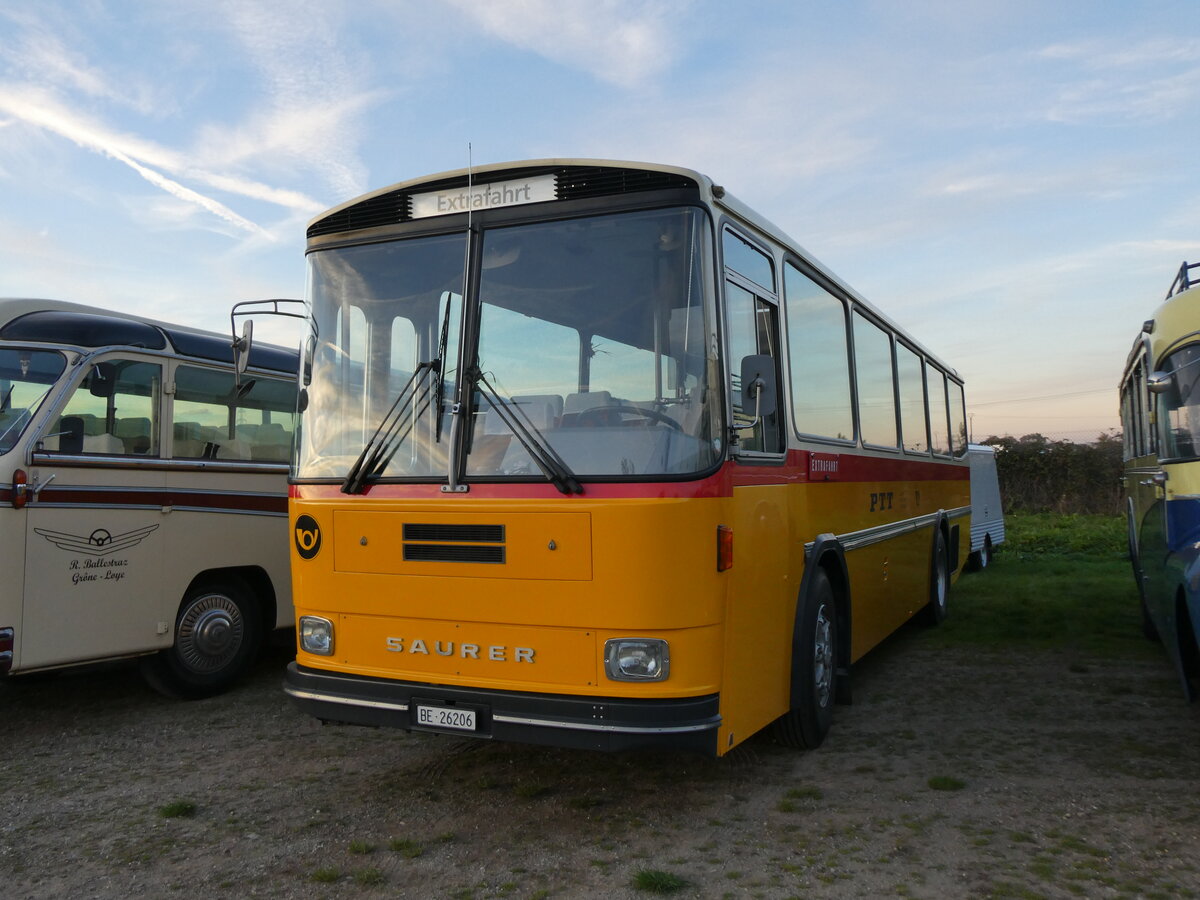 (268'506) - Aus der Schweiz: Schmid, Th�rishaus - BE 26'206 - Saurer/T�scher (ex P 24'244) am 25. Oktober 2024 in Kintzheim, Cigoland