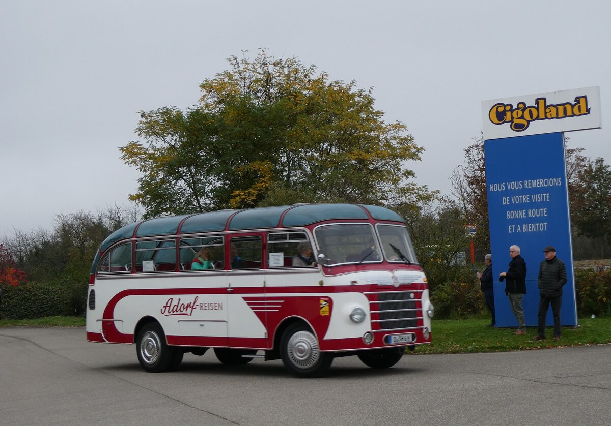 (268'609) - Aus Deutschland: Adorf-Reisen, D�sseldorf - D-SH 6H - Neoplan/Auw�rter am 26. Oktober 2024 in Kintzheim, Cigoland