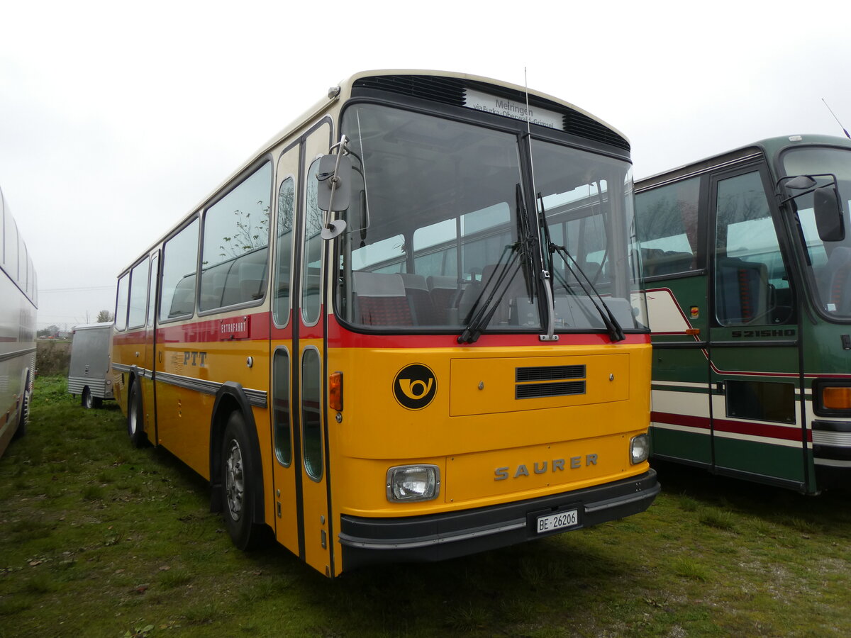 (268'684) - Aus der Schweiz: Schmid, Th�rishaus - BE 26'206 - Saurer/T�scher (ex P 24'244) am 26. Oktober 2024 in Kintzheim, Cigoland