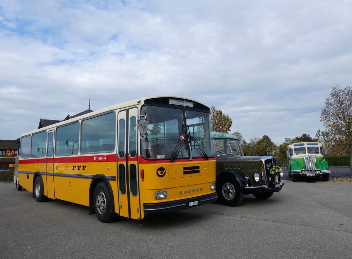 (268'726) - Aus der Schweiz: Schmid, Th�rishaus - BE 26'206 - Saurer/T�scher (ex P 24'244) am 27. Oktober 2024 in Kintzheim, Cigoland