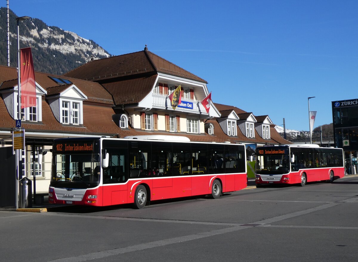 (269'912) - PostAuto Bern - BE 654'090/PID 12'339 - MAN (ex Dr. Richard, A-Wien Nr. 1419) + BE 403'166/PID 12'336 - MAN (ex Dr. Richard, A-Wien Nr. 1411) am 16. Dezember 2024 beim Bahnhof Interlaken Ost