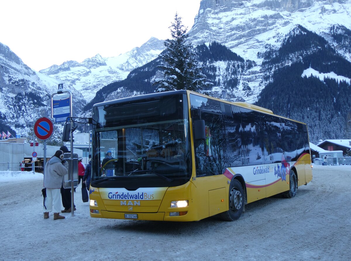 (270'324) - GrindelwaldBus, Grindelwald - Nr. 14/BE 202'568 - MAN/G�ppel am 29. Dezember 2024 beim Bahnhof Grindelwald
