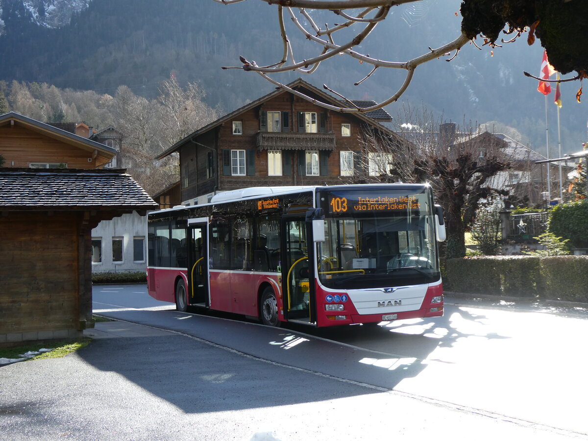 (270'739) - PostAuto Bern - BE 403'166/PID 12'336 - MAN (ex Dr. Richard, A-Wien Nr. 1411) am 7. Januar 2025 in B�nigen, See