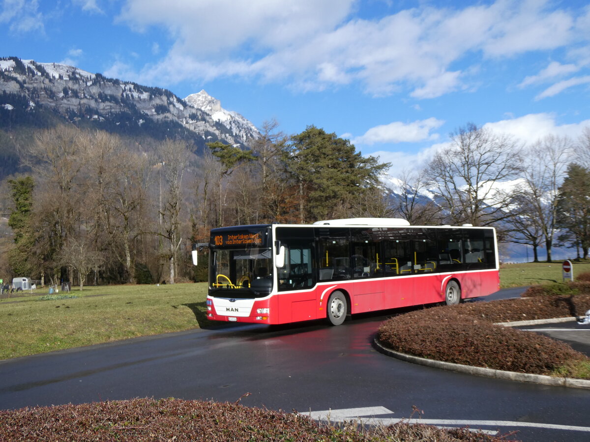 (270'740) - PostAuto Bern - BE 403'166/PID 12'336 - MAN (ex Dr. Richard, A-Wien Nr. 1411) am 7. Januar 2025 in B�nigen, in den G�rten