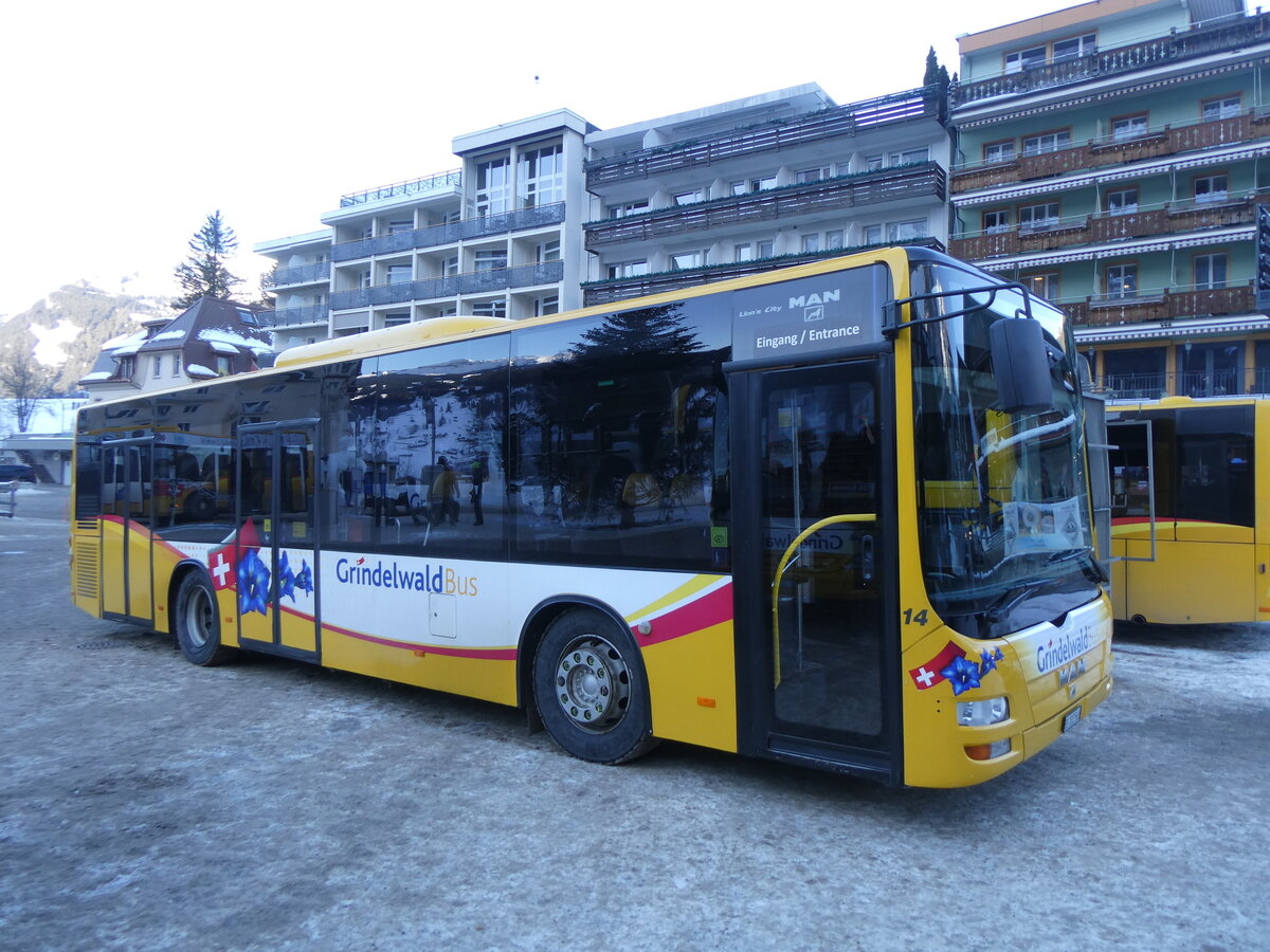 (271'295) - GrindelwaldBus, Grindelwald - Nr. 14/BE 202'568 - MAN/G�ppel am 18. Januar 2025 beim Bahnhof Grindelwald