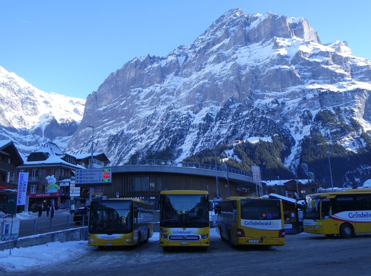 (271'315) - GrindelwaldBus, Grindelwald - Nr. 20/BE 349'361 - MAN/G�ppel + Nr. 240/BE 102'240 - Mercedes + Nr. 14/BE 202'568 - MAN/G�ppel am 18. Januar 2025 beim Bahnhof Grindelwald