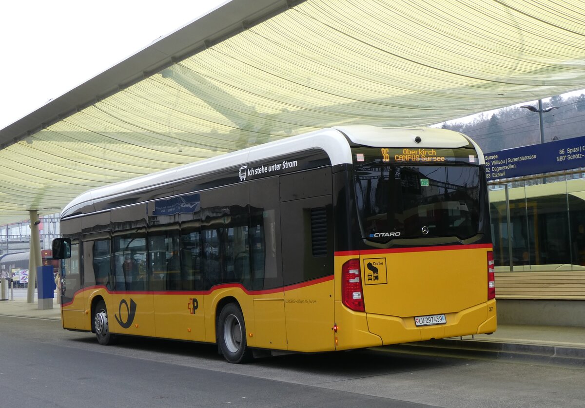 (271'689) - H�fliger, Sursee - Nr. 37/LU 297'459/PID 12'021 - eMercedes (ex vermietet an PostAuto Zentralschweiz Nr. 537) am 7. Februar 2025 beim Bahnhof Sursee