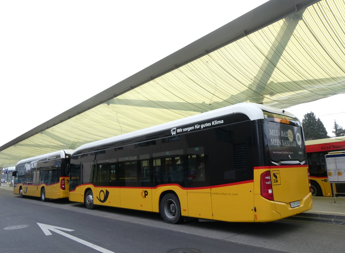 (271'692) - H�fliger, Sursee - Nr. 36/LU 297'458/PID 12'020 - eMercedes (ex vermietet an PostAuto Zentralschweiz Nr. 568) am 7. Februar 2025 beim Bahnhof Sursee