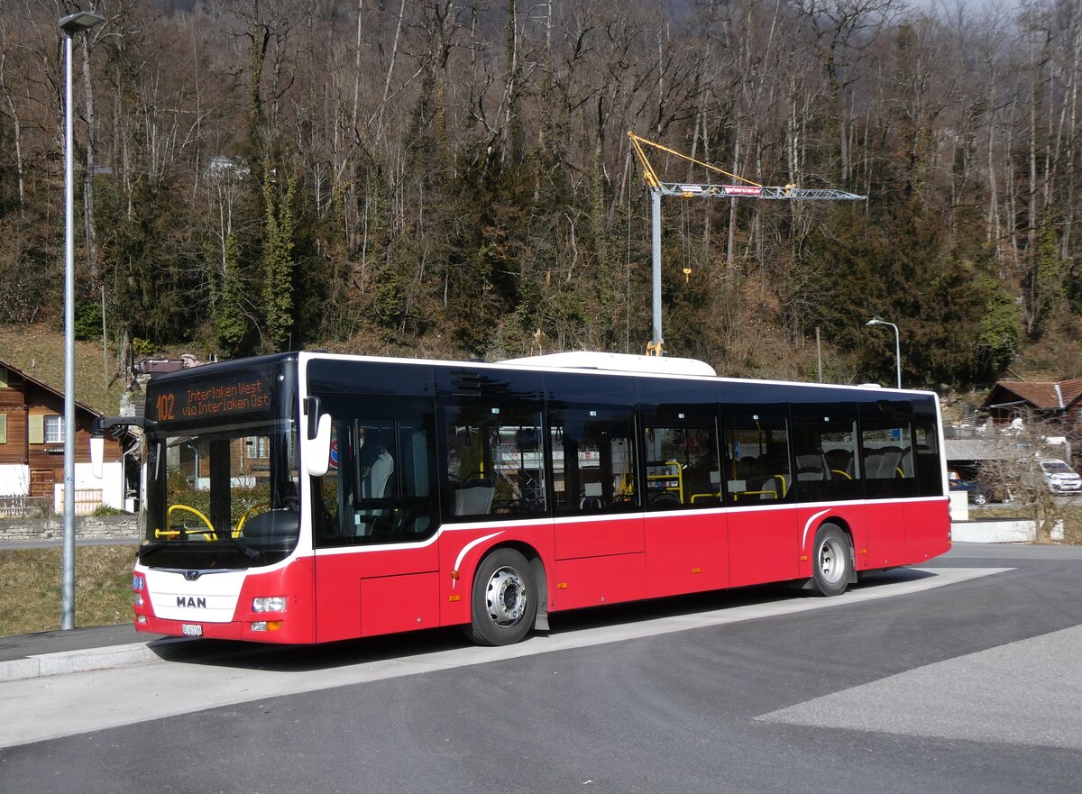 (272'198) - PostAuto Bern - BE 403'166/PID 12'336 - MAN (ex Dr. Richard, A-Wien Nr. 1411) am 17. Februar 2025 in Ringgenberg, S�ge