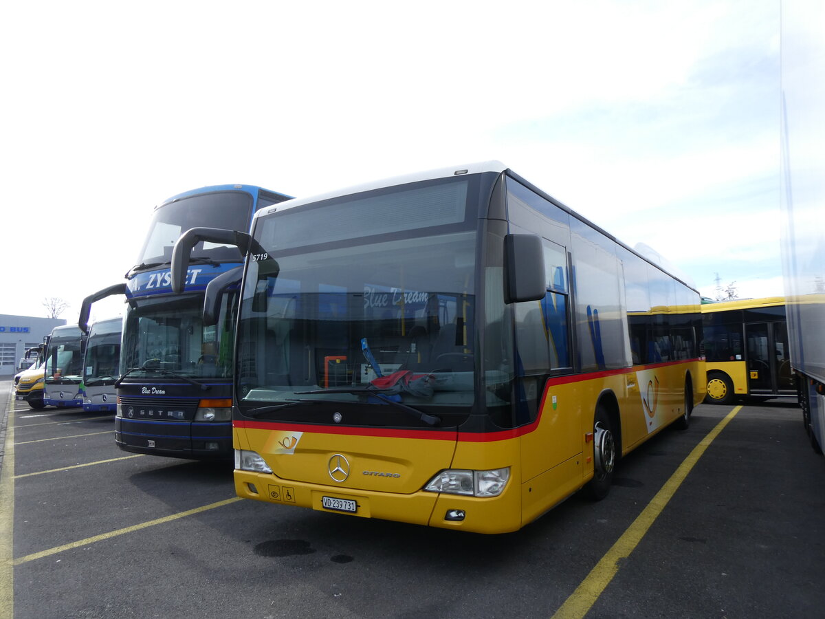 (272'721) - CarPostal Ouest - VD 239'731/PID 5719 - Mercedes (ex Faucherre, Moudon) am 9. M�rz 2025 in Kerzers, Interbus