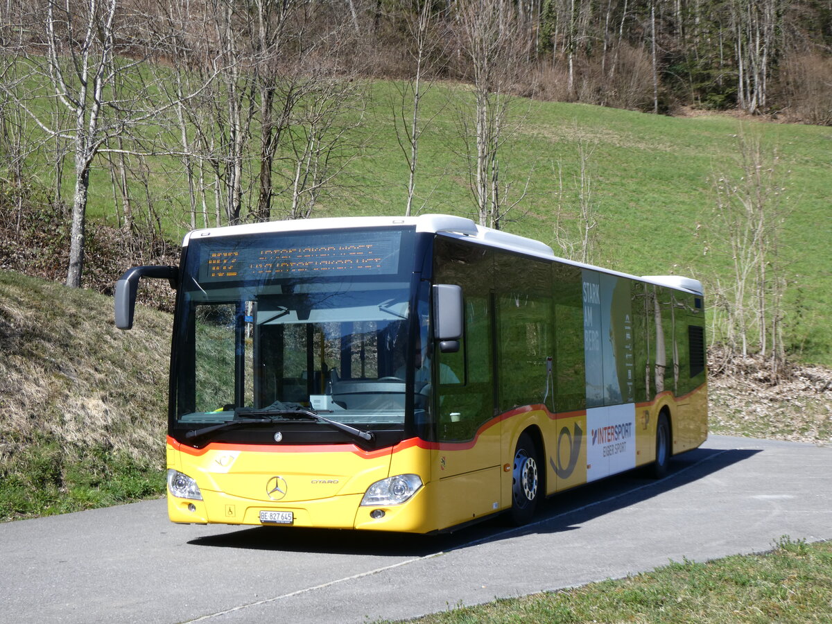 (273'103) - PostAuto Bern - BE 827'645/PID 11'426 - Mercedes am 20. M�rz 2025 in Niederried, Wendeplatz