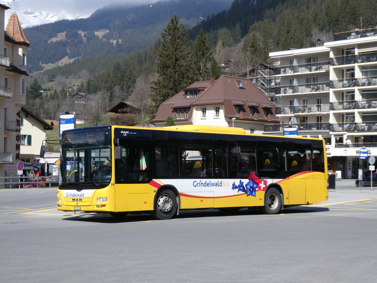 (273'258) - GrindelwaldBus, Grindelwald - Nr. 14/BE 202'568 - MAN/G�ppel am 28. M�rz 2025 beim Bahnhof Grindelwald