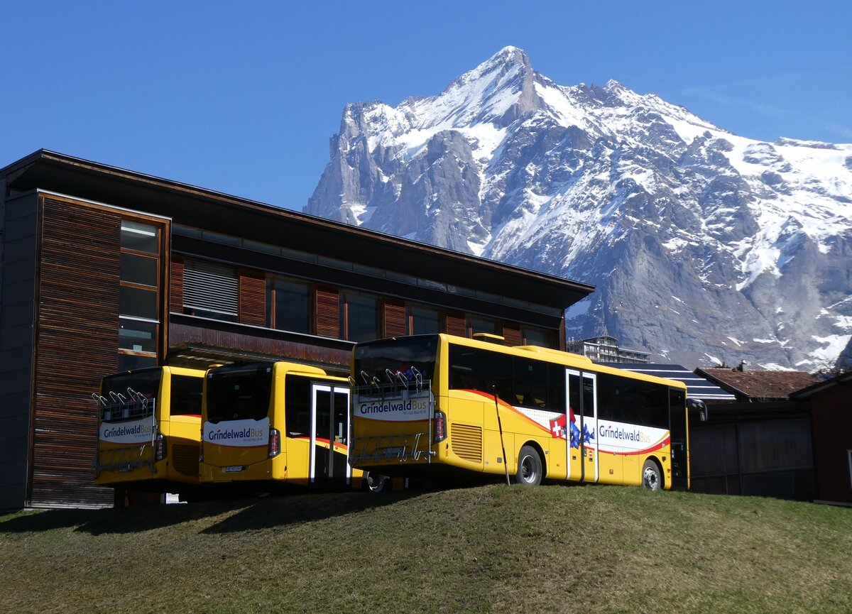 (273'282) - GrindelwaldBus, Grindelwald - Nr. 241/BE 103'241 - Mercedes am 28. M�rz 2025 in Grindelwald, Garage