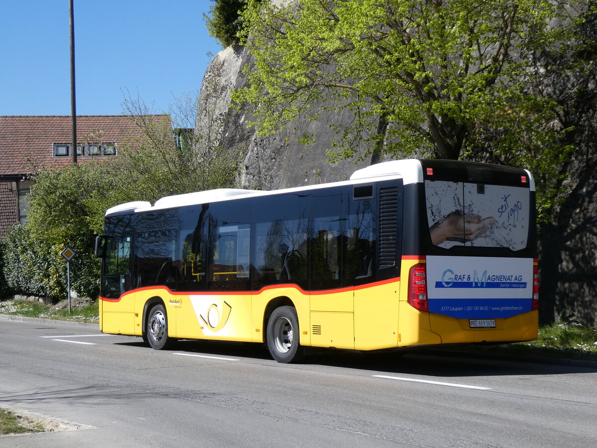 (273'857) - PostAuto Bern - Nr. 14/BE 669'367/PID 10'120 - Mercedes (ex Thepra, Stans Nr. 20) am 11. April 2025 beim Bahnhof Laupen