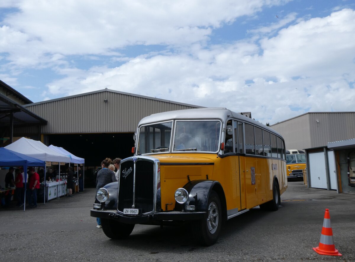 (274'561) - Wegm�ller, Attikon - ZH 9967 - Saurer/Hess (ex P 24'531; ex P 1375) am 3. Mai 2025 in Attikon, Wegm�ller