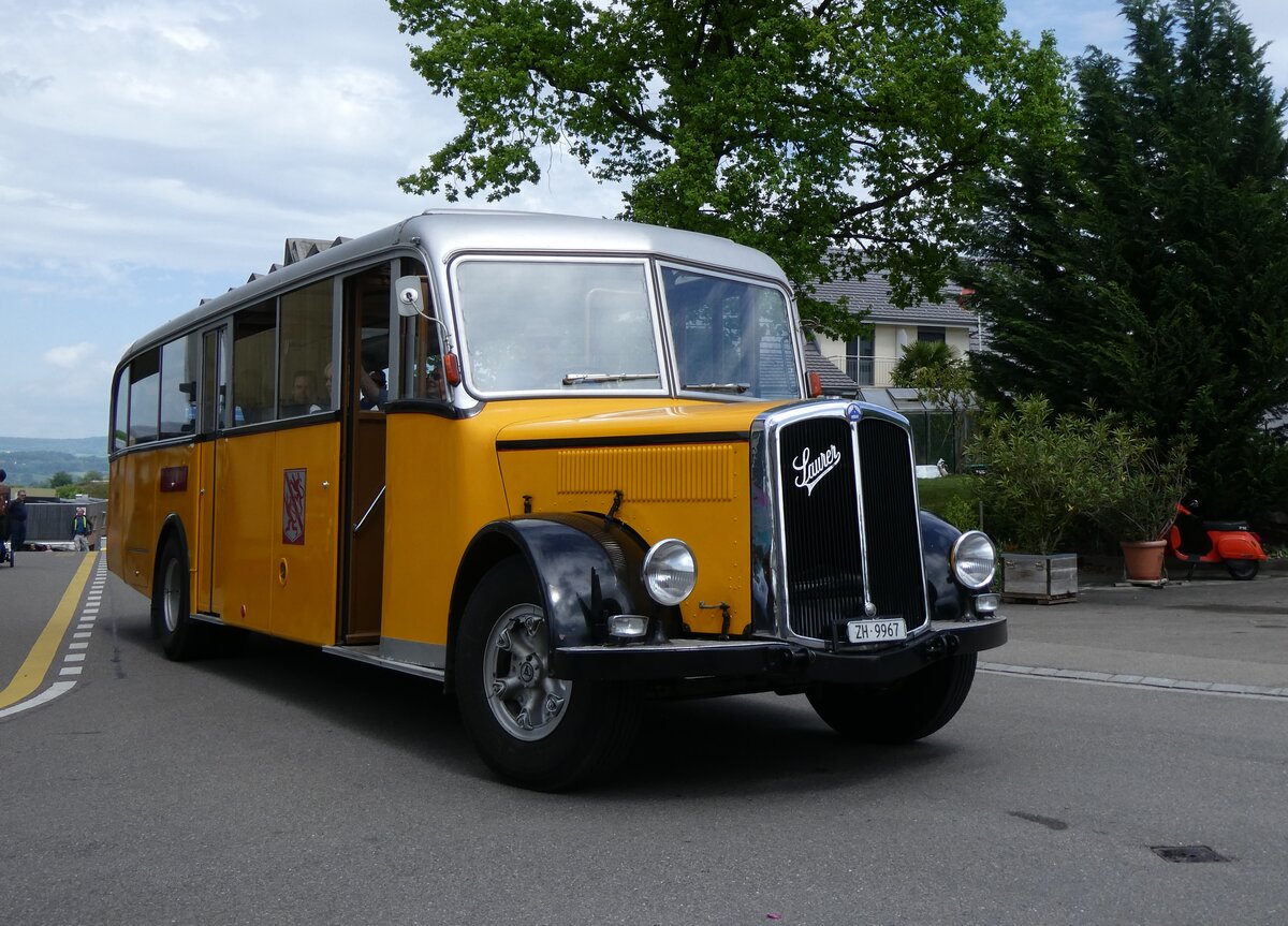 (274'566) - Wegm�ller, Attikon - ZH 9967 - Saurer/Hess (ex P 24'531; ex P 1375) am 3. Mai 2025 in Attikon, Wegm�ller