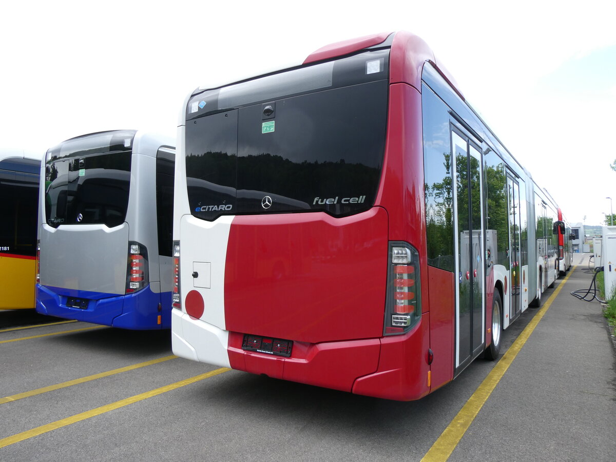 (274'615) - TPF Fribourg - (144'944) - eMercedes am 3. Mai 2025 in Winterthur, Daimler Buses