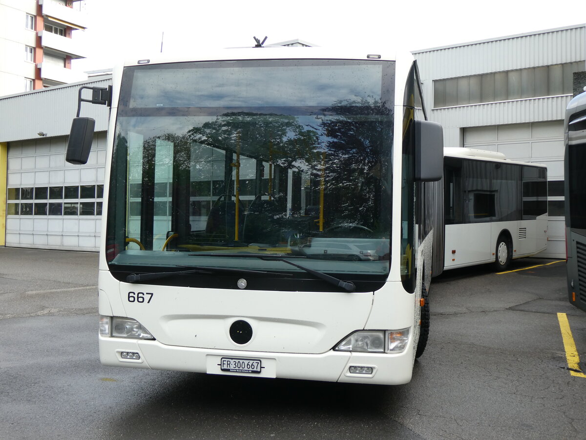 (274'651) - Intertours, Domdidier - Nr. 667/FR 300'667 - Mercedes (ex Nr. 666; ex STI Thun Nr. 137) am 4. Mai 2025 in Thun, Garage STI